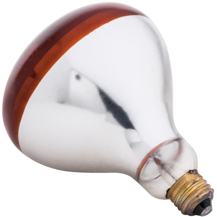 Lavex 250 Watt Red Coated Infrared Heat Lamp Light Bulb